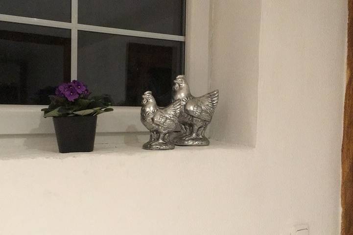 Ferienhaus für 4 Personen, mit Terrasse und Garten, mit Haustier - 1