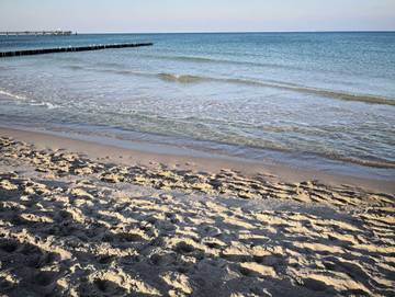 Ferienwohnung für 2 Personen in Graal-Müritz, Fischland - Darß - Zingst, Bild 3