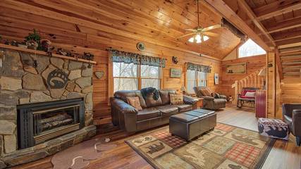 Chalet for 10 Guests in Cataloochee Valley, Haywood County, Picture 1
