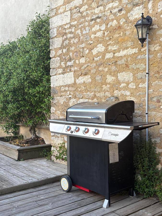 Location de vacances pour 8 personnes, avec jardin et terrasse ainsi que jacuzzi et piscine à Magné - 3