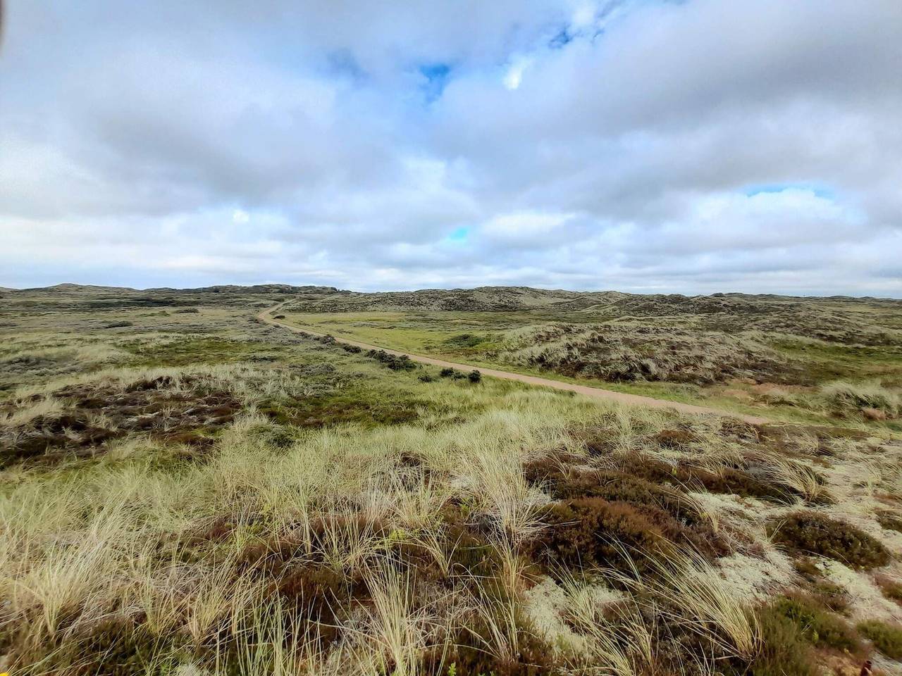 Dyllisk opholdssted i nord -- By Traum Ferienwohnungen in Thisted, Thy Nationalpark