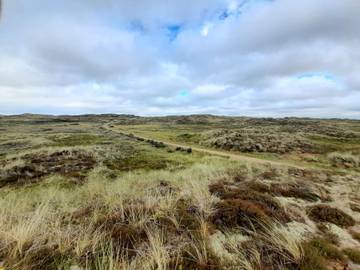 Ferienhaus für 7 Personen in Vorupør, Thy Nationalpark, Bild 2