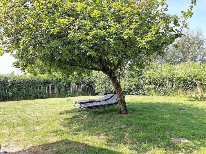 Ferienhaus für 6 Personen, mit Whirlpool und Terrasse sowie Garten und Sauna in Nordfriesland - 4
