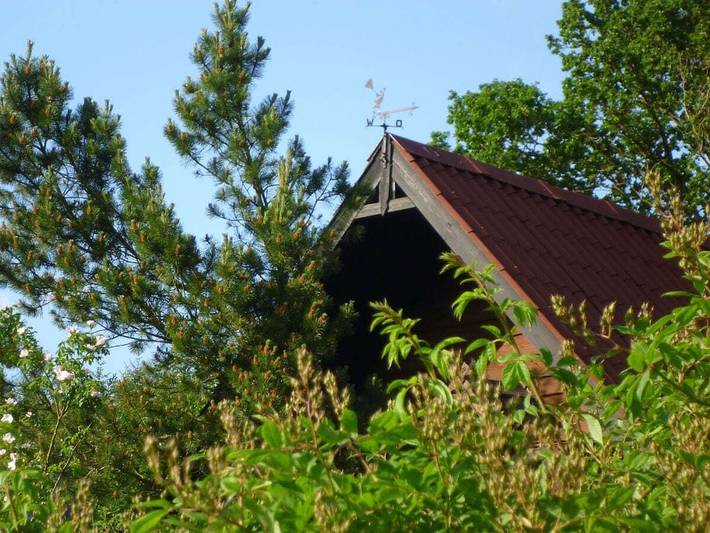Ferienhaus für 3 Personen, mit Garten und Terrasse in Lüneburg und Umgebung - 4