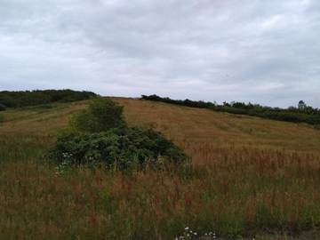 Ferienhaus für 5 Personen in Esbjerg, Dänemark an der Nordsee, Bild 4