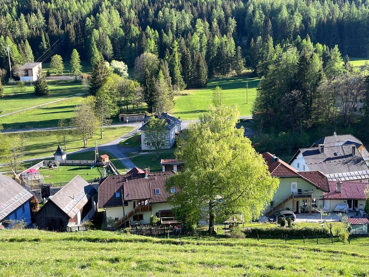 Ganze Wohnung, One-Bedroom Apartment in Gailtaler Alpen, Villach-Land