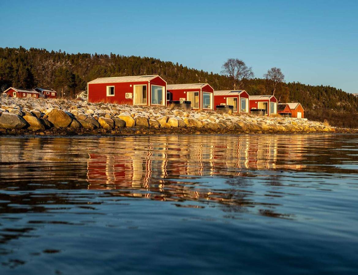 Norwegian Wild in Senja, Tranøy