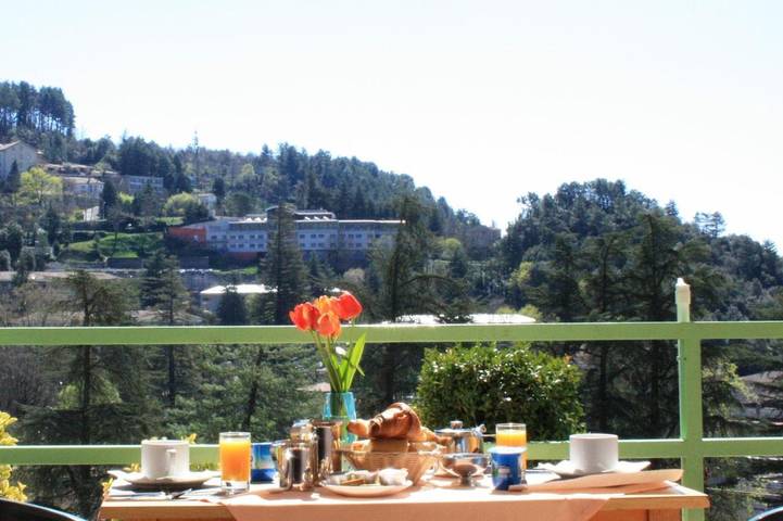 Hôtel pour 2 personnes, avec terrasse ainsi que jardin et vue, animaux acceptés à Vals-les-Bains
