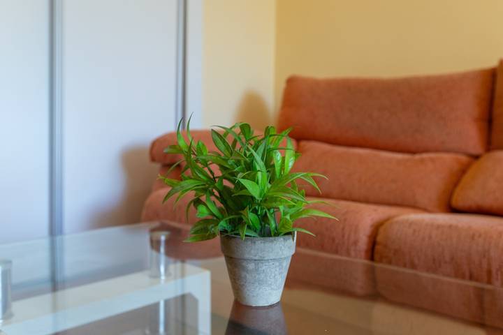 Entire studio, Studio Apartment 'Torremolinos' with Shared Pool, Shared Garden & Wi-Fi in La Colina Torremolinos, Torremolinos