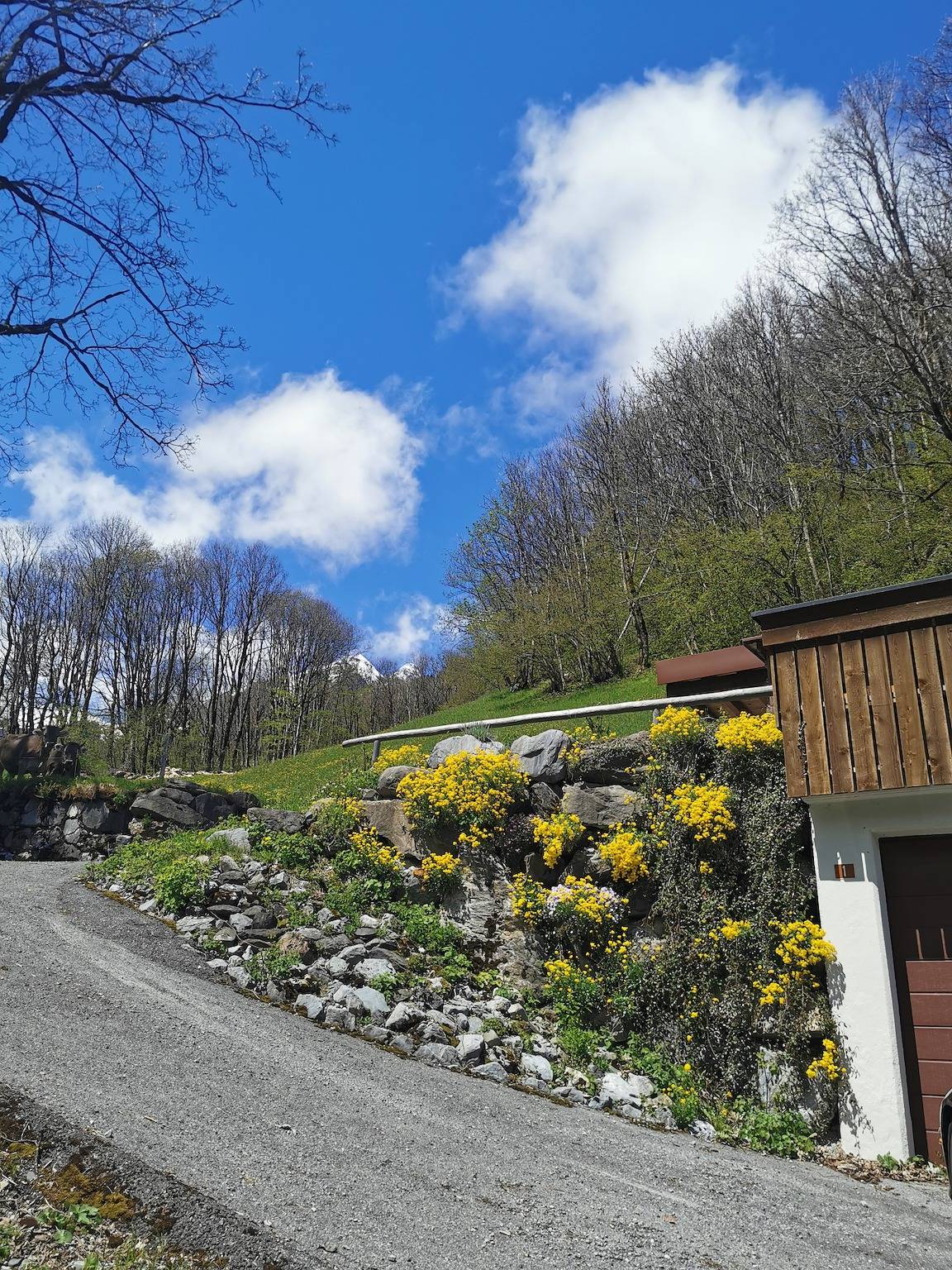 Ganze Ferienwohnung, Ferienchalet obere Chappelen 1 in Elm, Glarus Süd