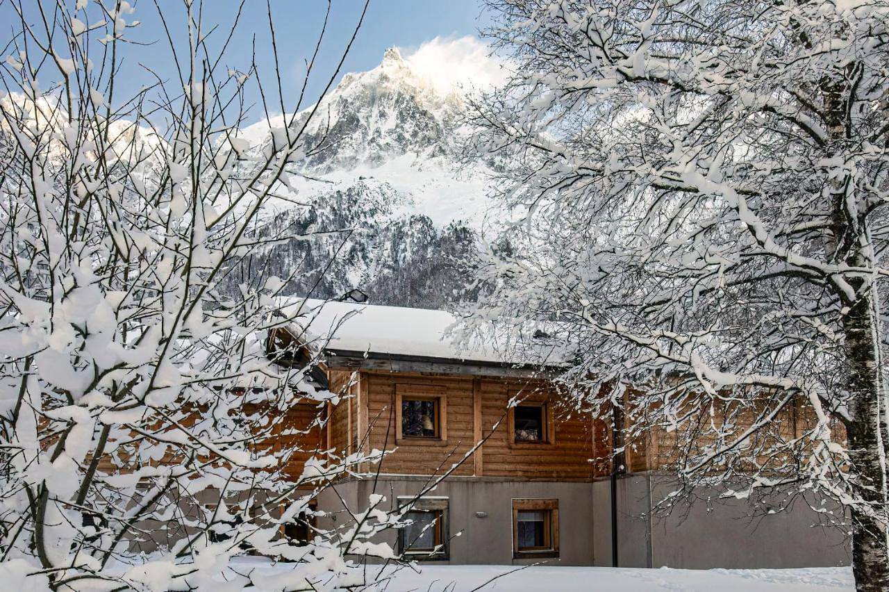 Grand chalet Le Trappeur - Chamonix in Chamonix-Mont-Blanc, Massif du Mont-Blanc