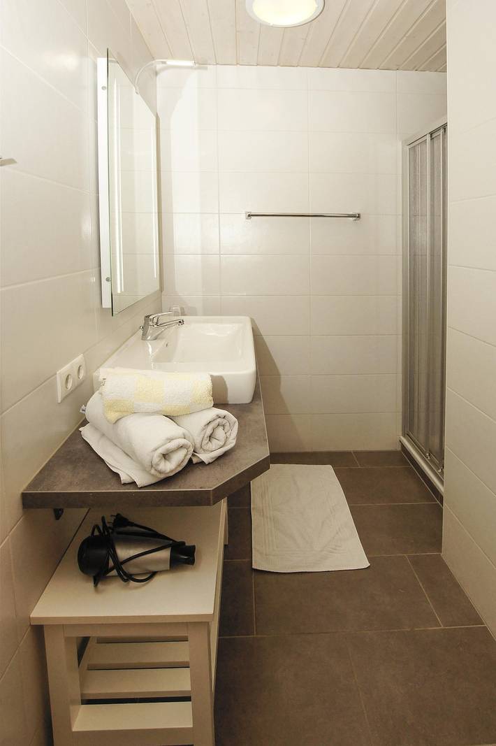 Pension pour 5 personnes, avec vue et piscine ainsi que sauna et jardin à Ramsau am Dachstein - 2