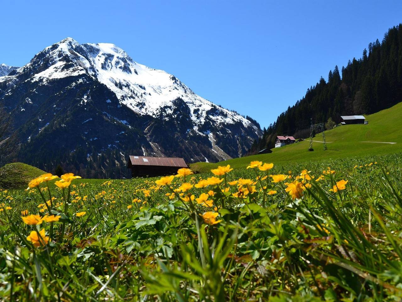 Ganze Ferienwohnung, Gästehaus Annette - Frau Eberle-Krunke - Appartement/Bad/Wc, 1 Schlafraum "Widderstein" in Riezlern, Mittelberg