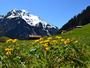 Ferienwohnung für 2 Personen in Mittelberg, Allgäuer Alpen (Österreich), Bild 4