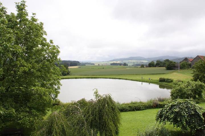 Gasthof-Pension Krämerhof - rustikal eingerichtetes Doppelzimmer ohne Balkon in Thanstein, Naturpark Oberpfälzer Wald