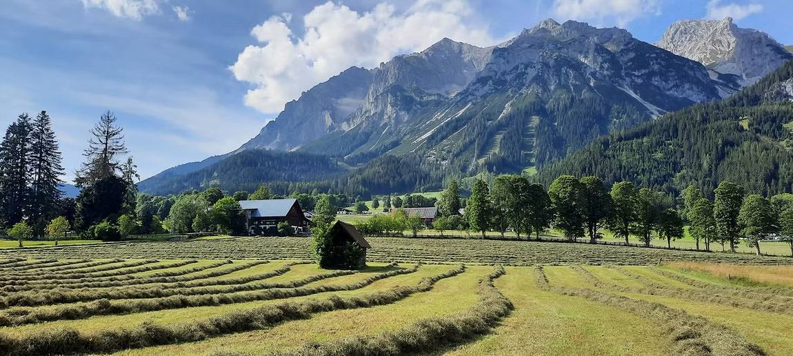 Ganze Ferienwohnung, Wagnerhof in Ramsau am Dachstein, Schladming-Dachstein