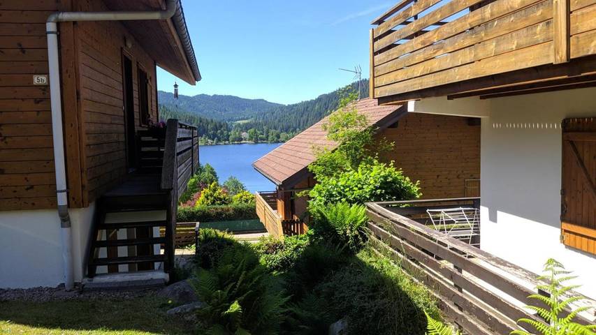 Gîte pour 4 personnes, avec vue sur le lac ainsi que terrasse et vue, animaux acceptés dans Lac de Gérardmer - 2