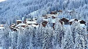 Simone - Chalet mitoyen traditionnel en bois in La Tania, La Perrière
