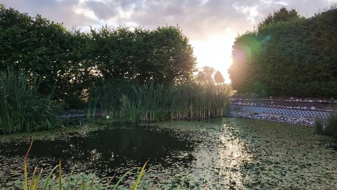 Ferienhaus für 4 Personen (60 m²) in Klink in Klink, Müritz