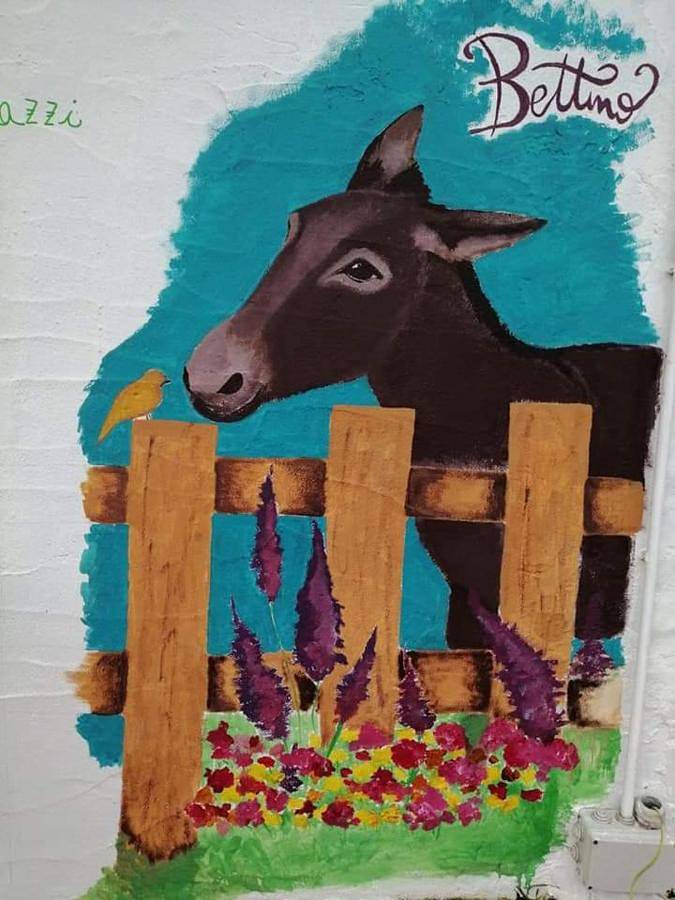 Casa vacanza per 4 persone, con giardino in Santa Teresa Gallura