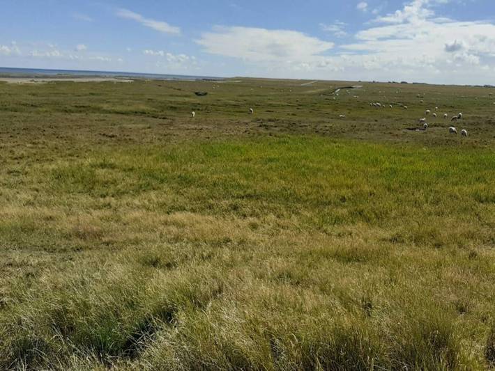 Ferienhaus für 4 Personen, mit Terrasse, kinderfreundlich auf Rømø - 4