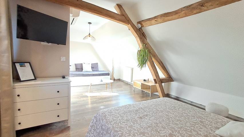 Chambre d’hôte pour 4 personnes, avec jardin, animaux acceptés dans Sologne - 4