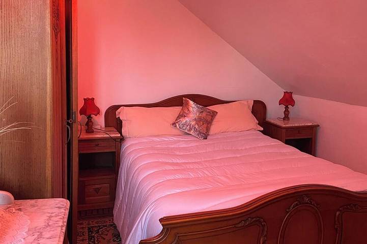 Ferienhaus in einem großen Haus im Zentrum von Colmar mit Garten und kostenlosen Parkplätzen in Colmar, Colmar und Umgebung