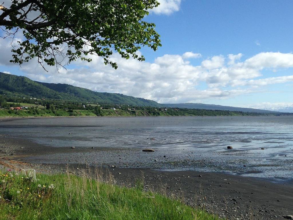 Schöne Homer Side Cabins mit Raum, um Ihr Boot parken in Homer, Kenai Peninsula