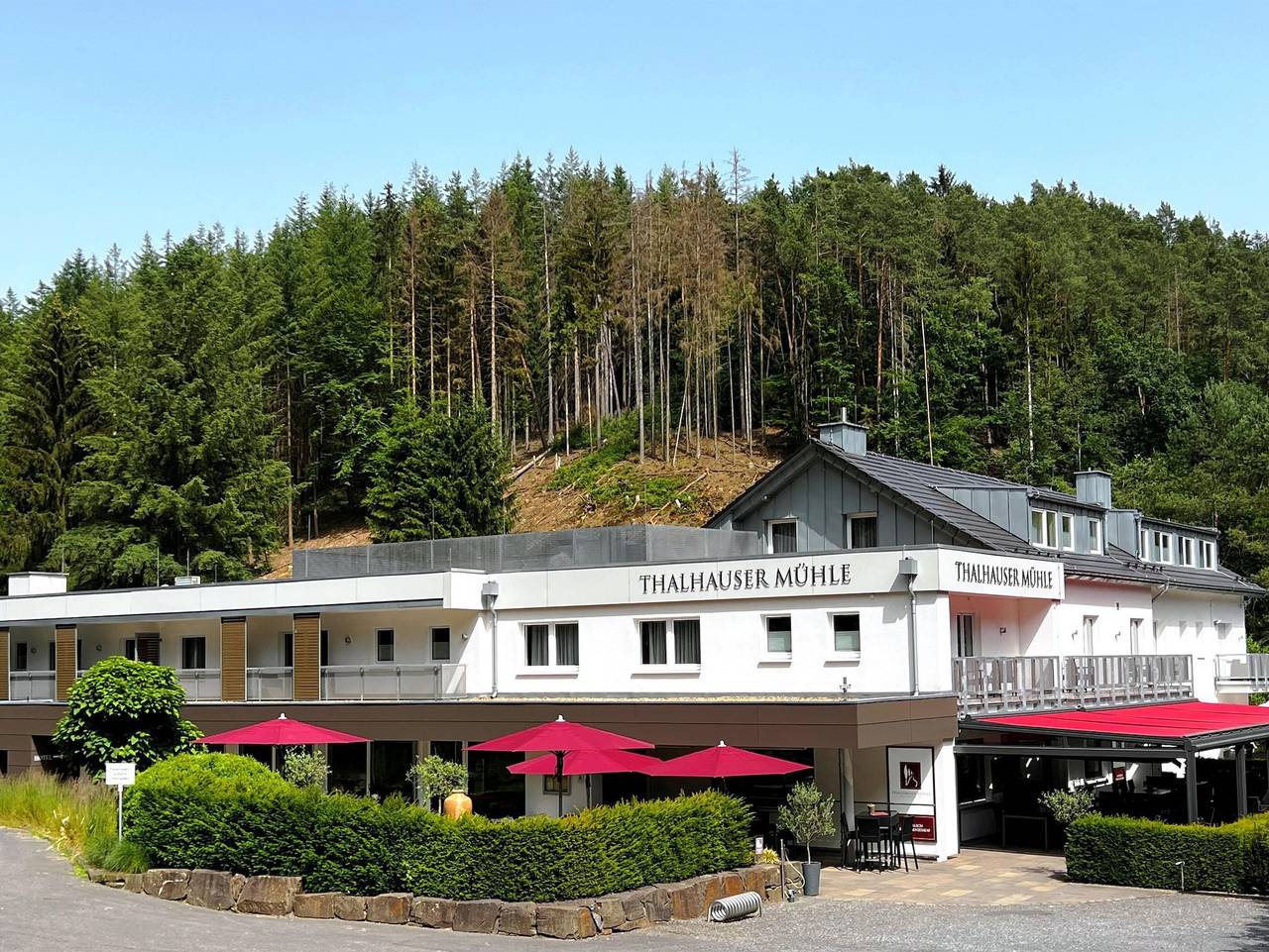 Thalhauser Mühle - Einzelzimmer Klassik in Thalhausen, Rheinland-Pfalz