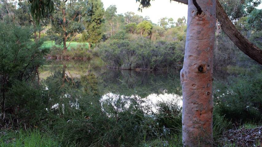 Cottage for 2 people, with terrace in Western Australia