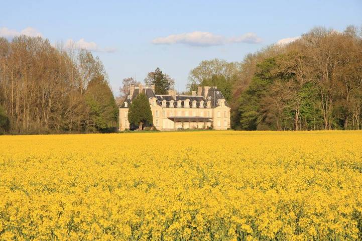 Château pour 15 personnes, avec Terrasse ainsi que Jardin et Piscine