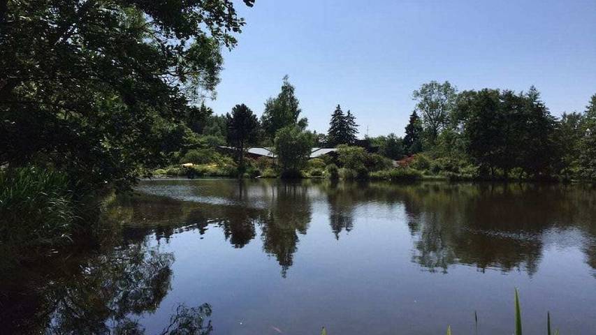 Ferienhaus für 4 Personen, mit Balkon, mit Haustier in Braunlage - 2