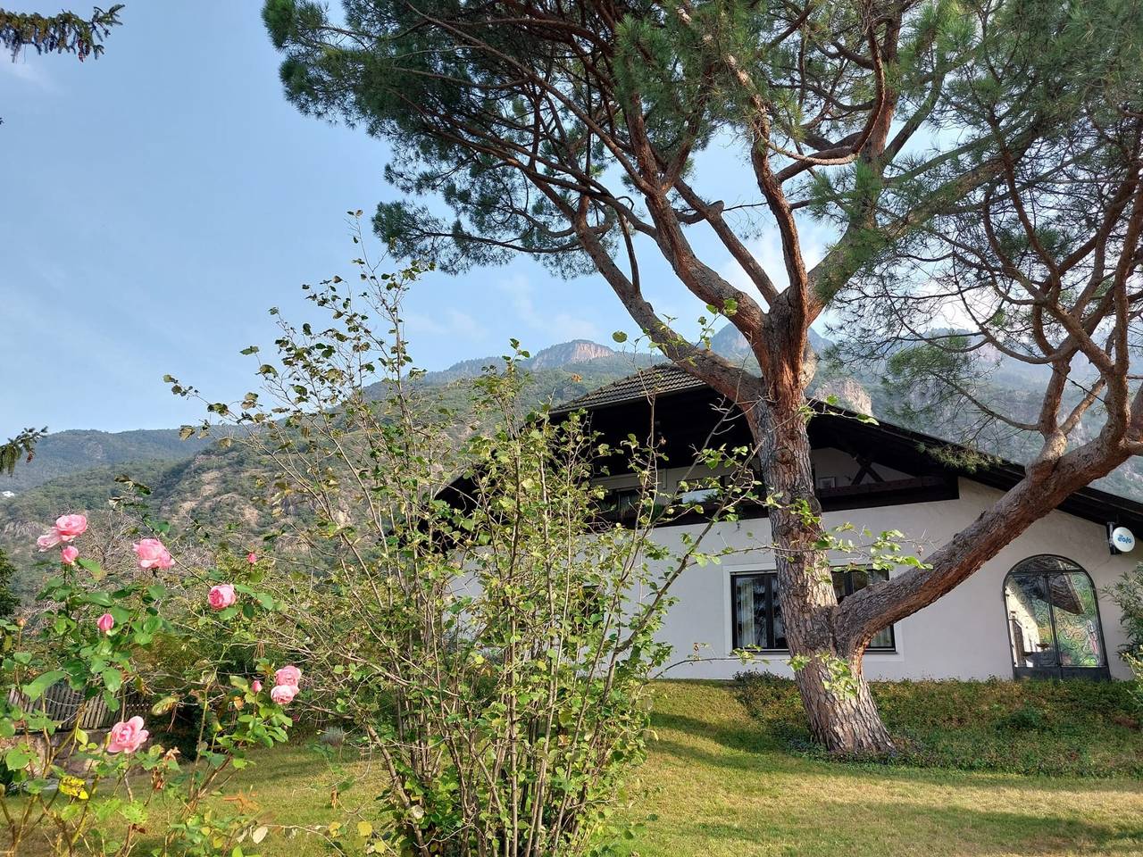 Ganze Wohnung, Ferienwohnung 'Villa Pinie 2' mit Bergblick, privater Terrasse und Wlan in Terlan, Sarntaler Alpen