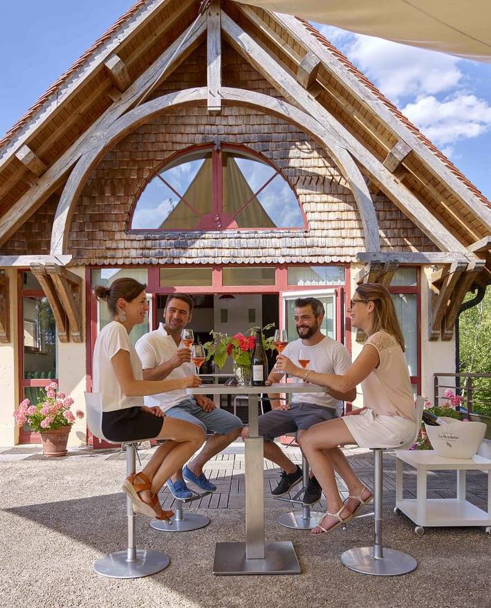 Gîte für 26 Personen, mit Terrasse und Garten, mit Haustier in Champagne-Ardennen - 2