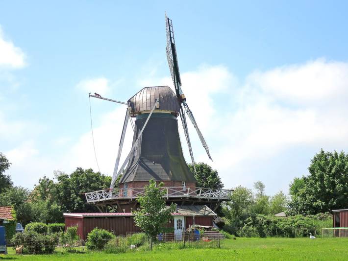 Ferienhaus für 6 Personen, mit Terrasse und Garten in Westerbur
