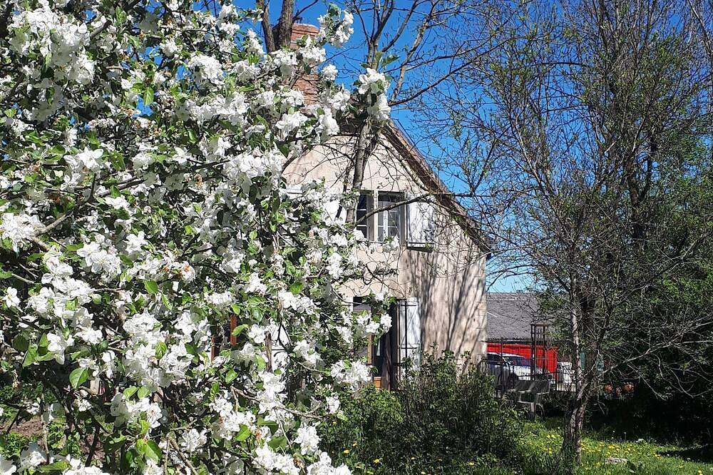 Farm cottage with animals, cheese and nature in Neuville-lès-Decize, Nièvre