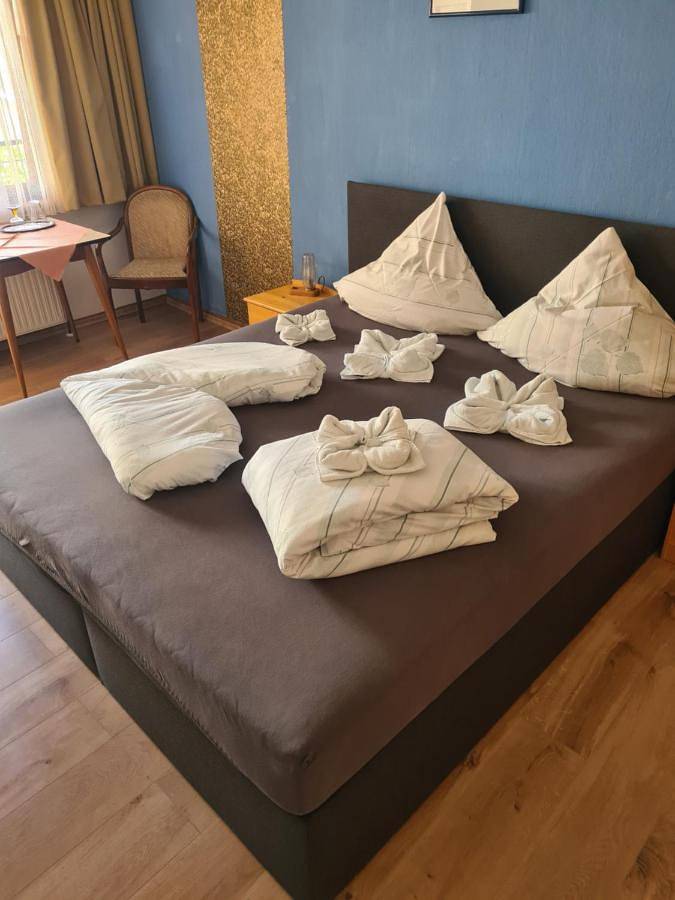 Chambre d’hôte pour 2 personnes, avec vue et jardin, animaux acceptés dans Rudesheim Am Rhein - 3