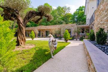 Chambre d’hôte pour 3 personnes, avec jardin et vue dans Val-d'Oise