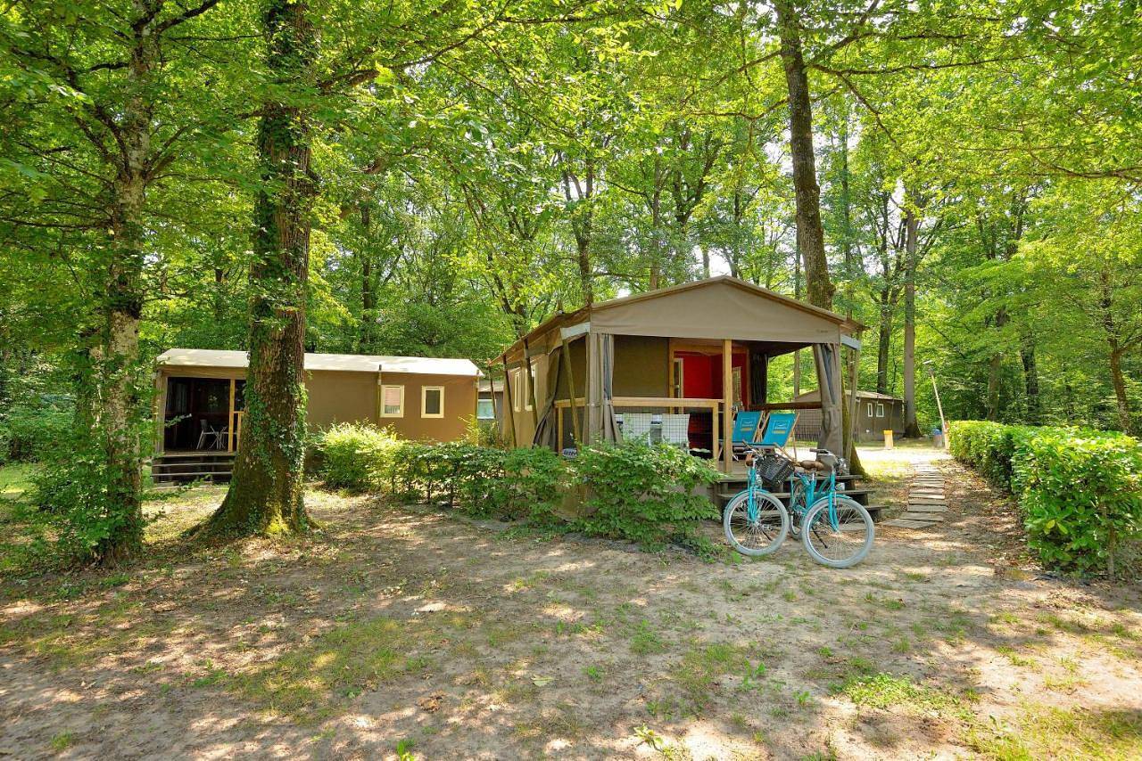 Camping Etang de la Vallée in Combreux, Région d'Orléans