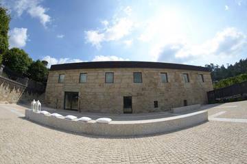 Location de vacances pour 3 personnes, avec vue ainsi que jardin et piscine dans Vizela