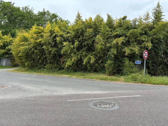 Tente pour 3 personnes, avec Terrasse ainsi que Jardin et Vue à La Teste-de-Buch - 2