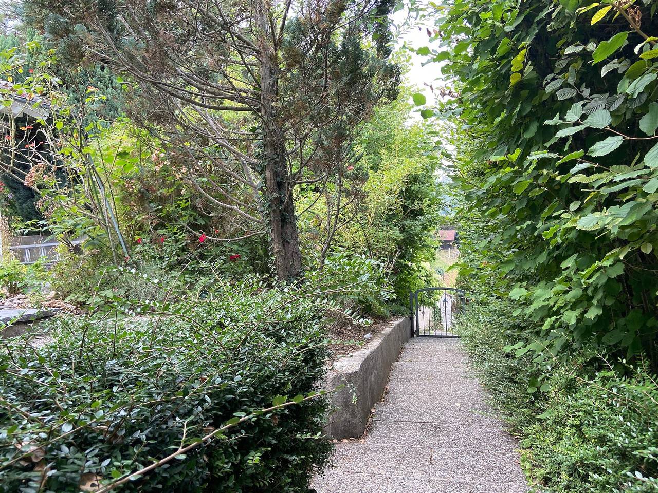 Ganzes Studio, Ferienhaus 'Haus Creasoluz' mit Seeblick, privater Terrasse und Wlan in Bodman-Ludwigshafen, Obersee (Bodensee)