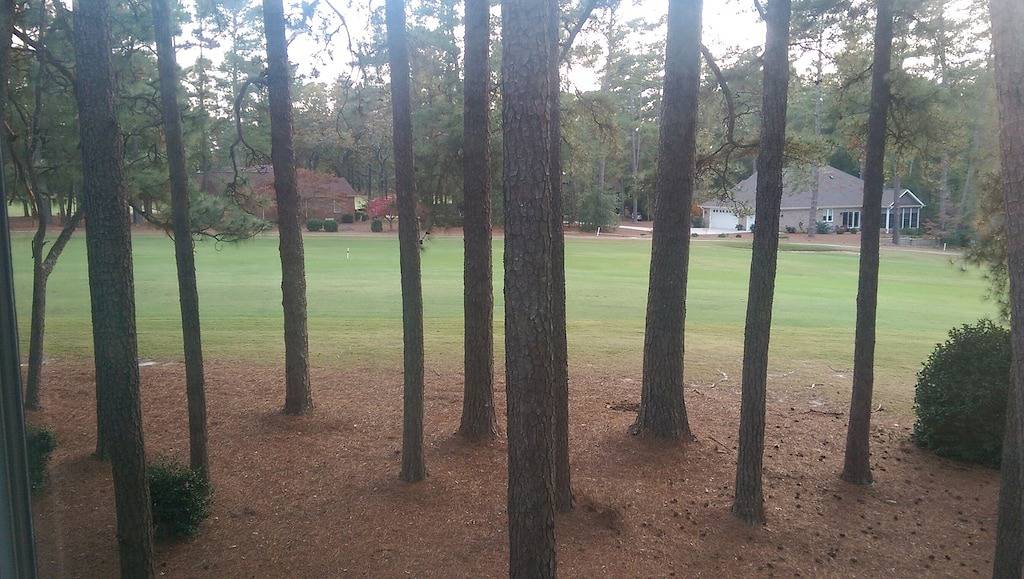 Ganze Wohnung, Upscale 1 Br Wohnung auf Pinehurst # 3 & # 5 in Pinehurst, Moore County