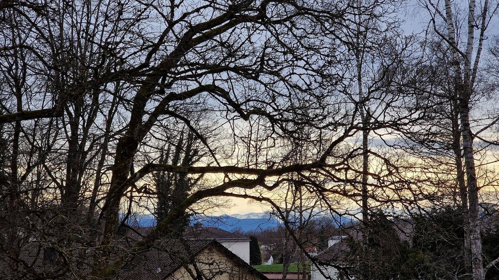 Doppelhaushälfte  - Moderner Neubau im Grünen, nahe See, S-Bahn und mit E-Ladesäule in Pöcking, Starnberger See