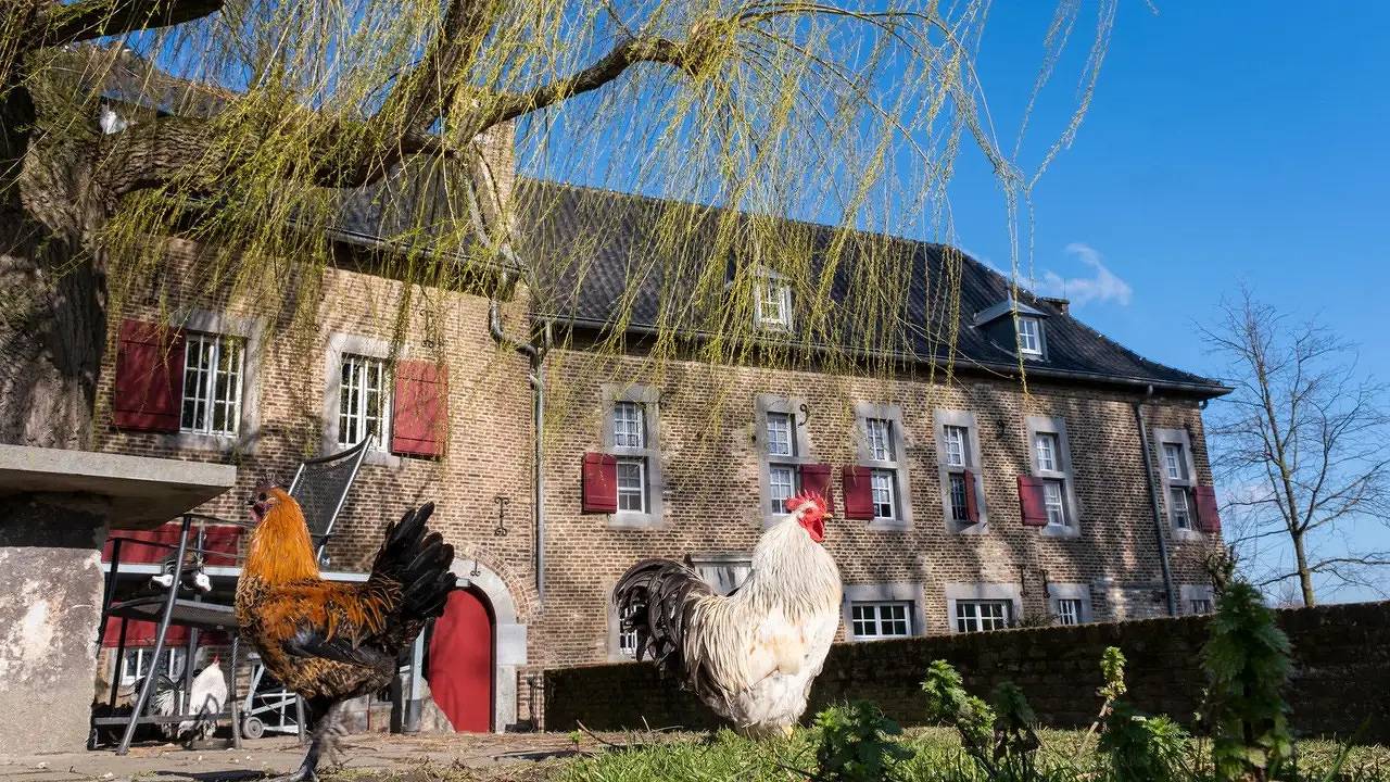 Geheel vakantieappartement, Vakantieappartement voor 5 personen met tuin in Eijsden, Limburg