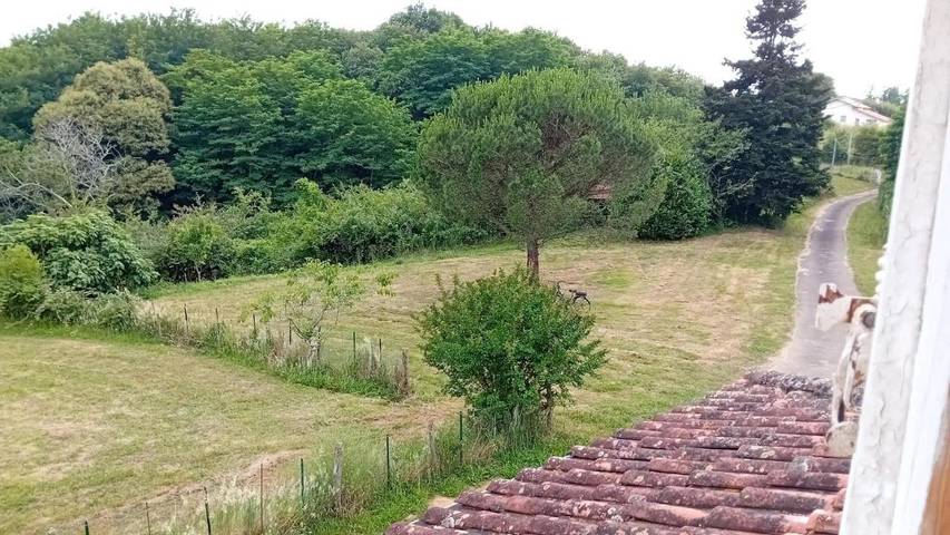 Location de vacances pour 6 personnes, avec vue ainsi que terrasse et jardin, animaux acceptés à Laurède - 4