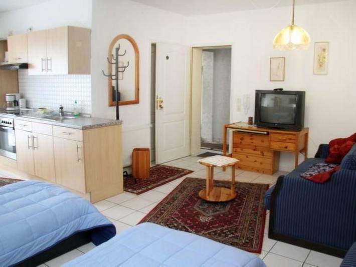 Ferienwohnung für 3 Personen, mit Terrasse und Garten in Usingen - 4
