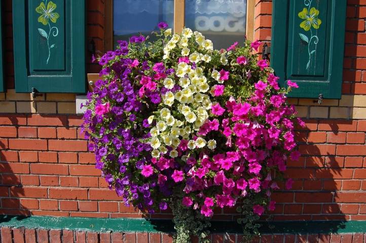 Gîte pour 3 personnes, avec terrasse à Klingenthal - 3