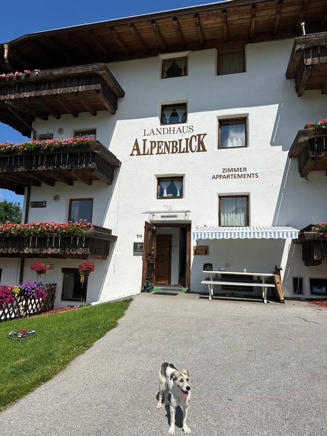 Ferienwohnung für 5 Personen, mit Balkon und Terrasse sowie Garten und Pool in Obsteig