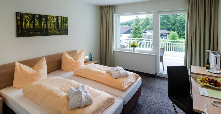 Hotel für 2 Personen, mit Balkon und Terrasse sowie Sauna und Ausblick in Bad Marienberg - 2